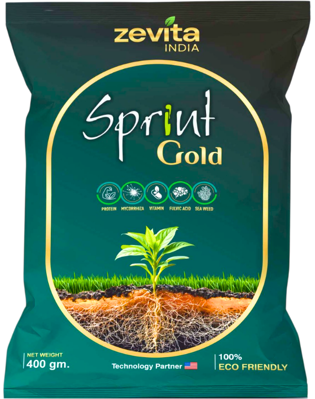 Sprint Gold