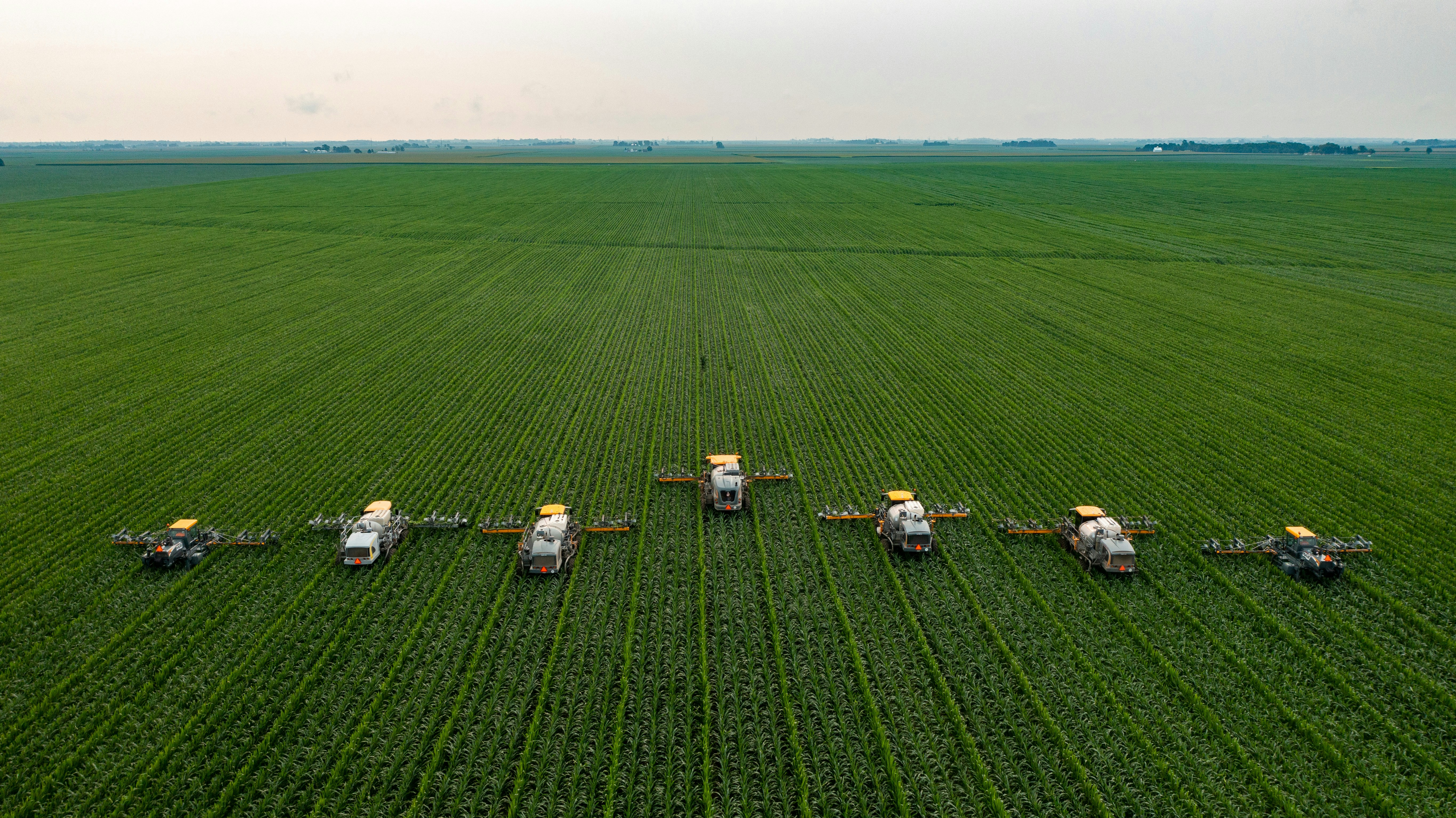 Tractors in field
